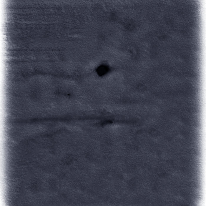 Joe Zempel - Cedar Womb