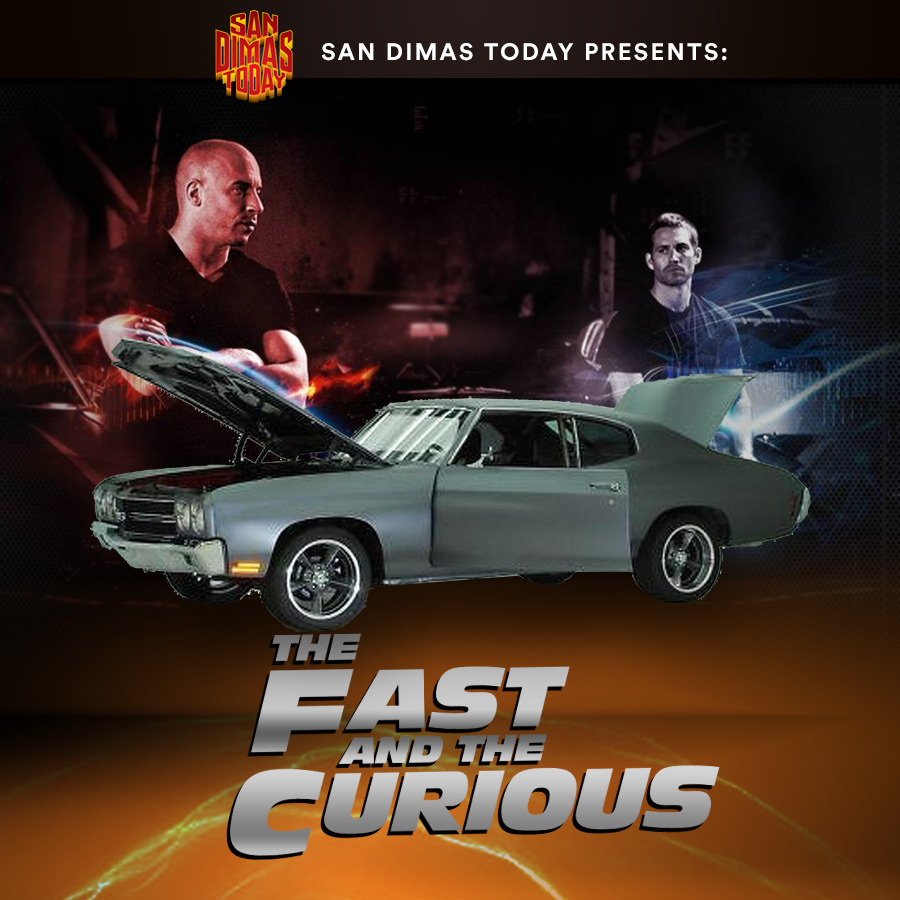 The Fast and The Curious: Fast & Curious - podcast episode cover