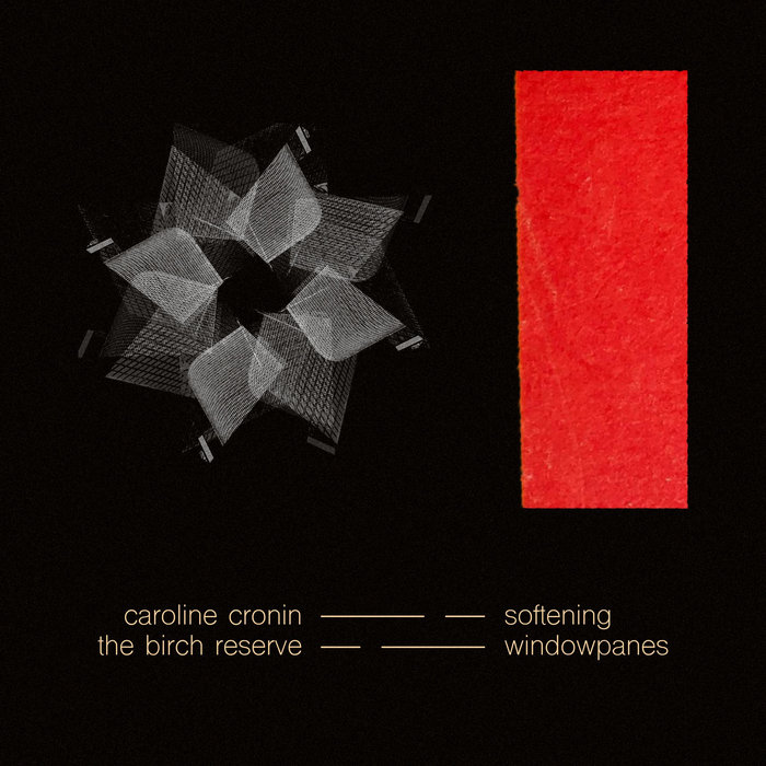 Caroline Cronin - Softening